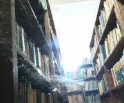 Evidencian mal estado de Biblioteca Panamericana