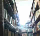 Evidencian mal estado de Biblioteca Panamericana