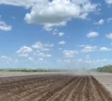 Productores agrícolas preparan sus tierras