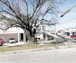 Cámaras permanecen derribadas en la calle