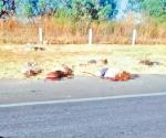 Abandonan en carretera seis cuerpos, en Zacatecas