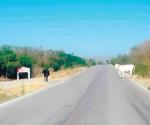 Automovilistas reportan ganado suelto en carretera