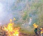 Incendio forestal deja 4 muertos