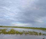 Intensas lluvias alivian la prolongada sequía