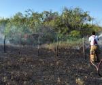 Han incendiado más de 30 hectáreas