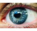 Los ojos podrían ser importantes para diagnosticar autismo y TDAH: Estudio