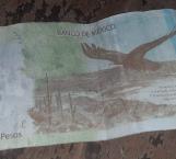 Circulan billetes "falsos"