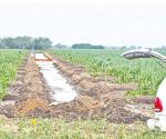 Frenan labores de irrigación por fuertes lluvias