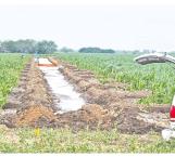 Frenan labores de irrigación por fuertes lluvias