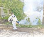 Inicia fumigación contra el dengue