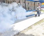 Fumigan planteles contra el dengue