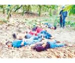 Torturan y asesinan a 6 jóvenes en Paraíso
