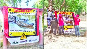 Alertan por la presencia de caimanes y cocodrilos