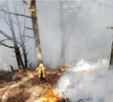 Supervisa AVA combate al incendio en Cañón del Novillo