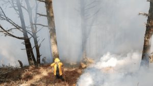Supervisa AVA combate al incendio en Cañón del Novillo