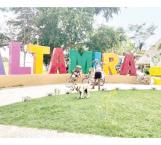 Recorre México en bicicleta junto con sus tres mascotas