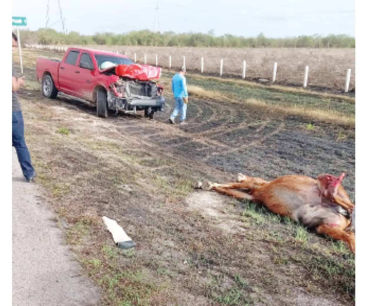 Choca contra caballo y destroza camioneta