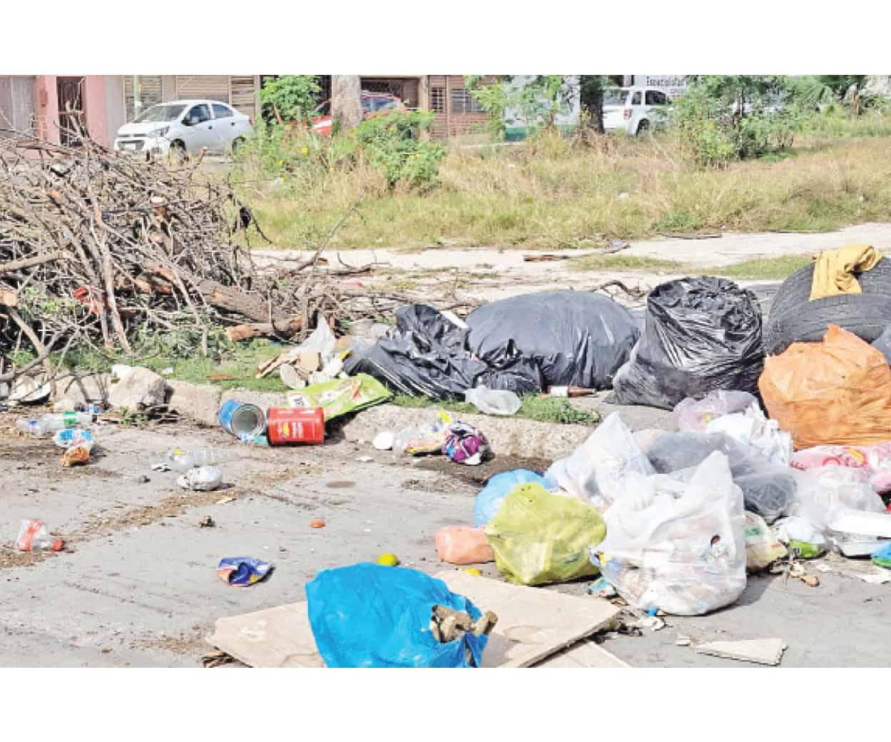 Urge retirar basura de la zona centro