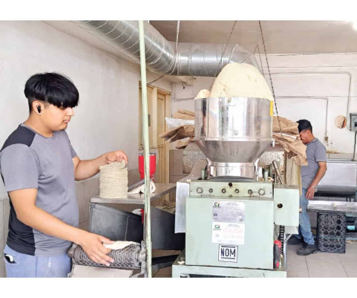 Proyectan aumento del 40% a la tortilla