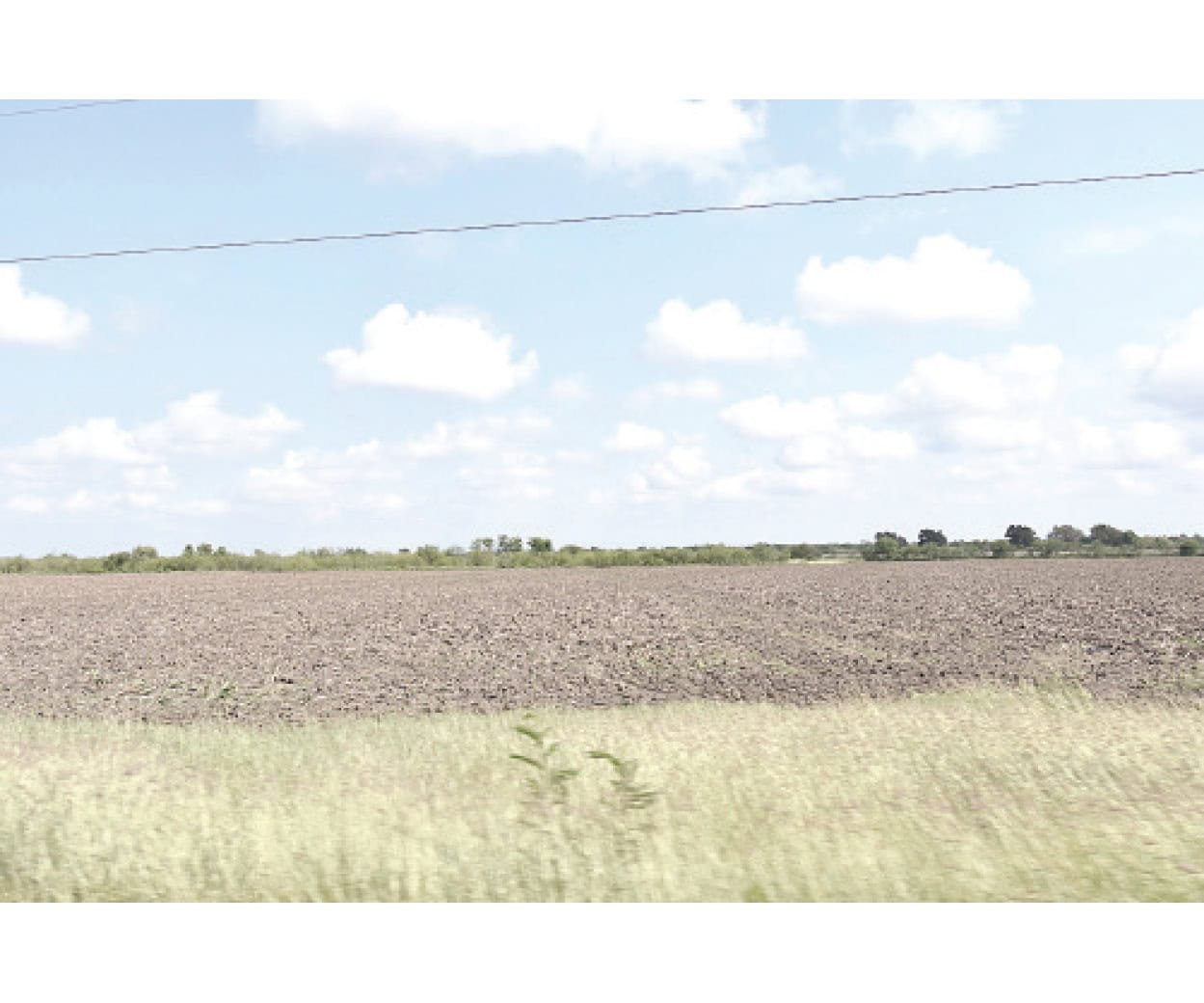 Descartan afecte frío las siembras de sorgo