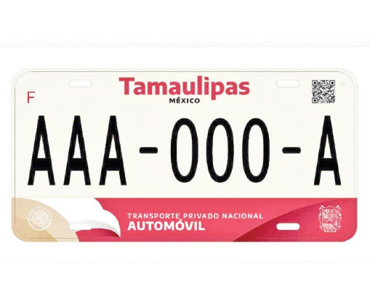 Exhortan a aprovechar descuentos en placas