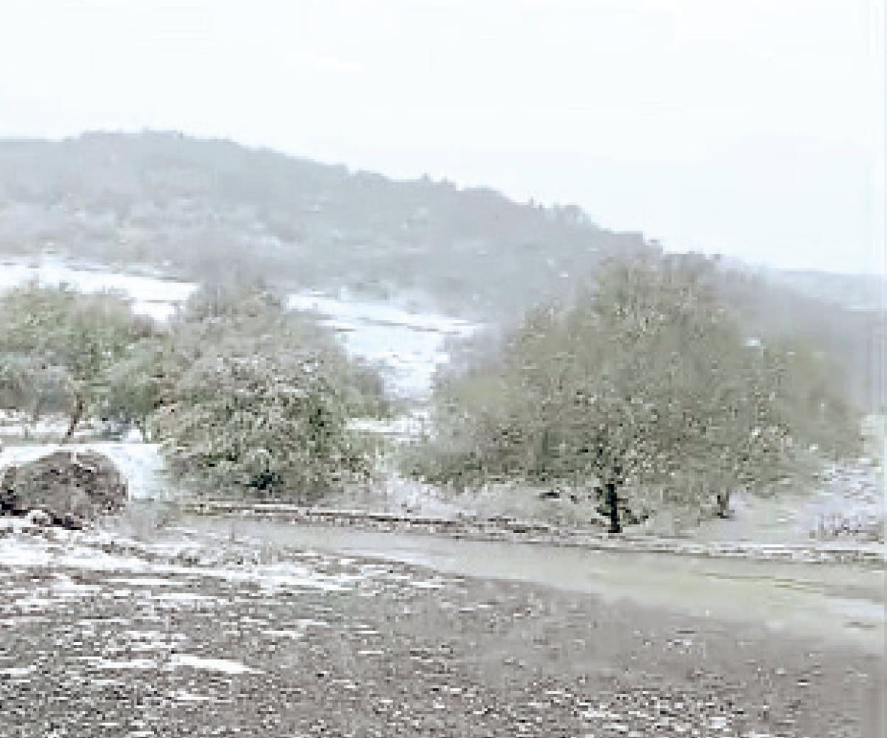 Caída de nieve en  Cruillas y Burgos